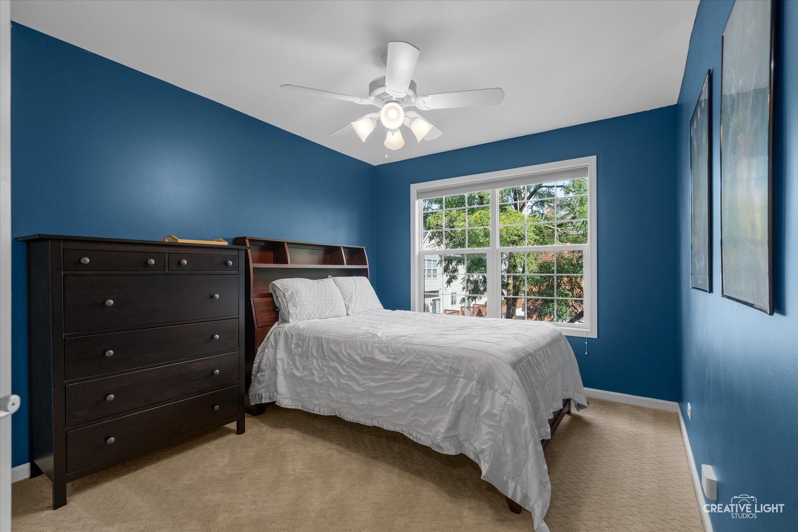 858 Shandrew Drive, Naperville, IL 60540