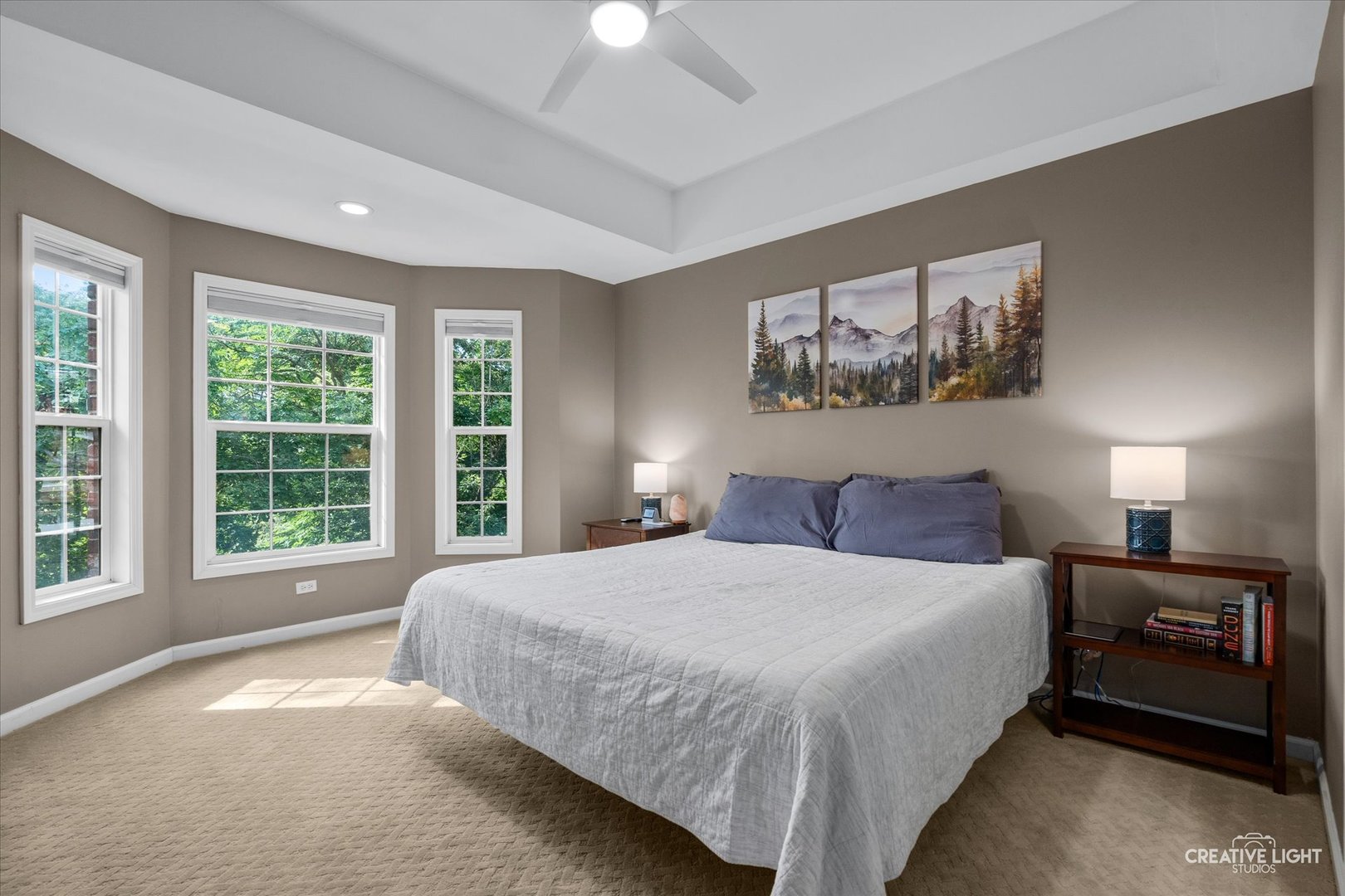 858 Shandrew Drive, Naperville, IL 60540