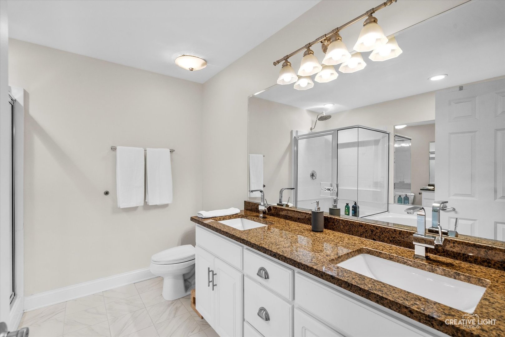 858 Shandrew Drive, Naperville, IL 60540