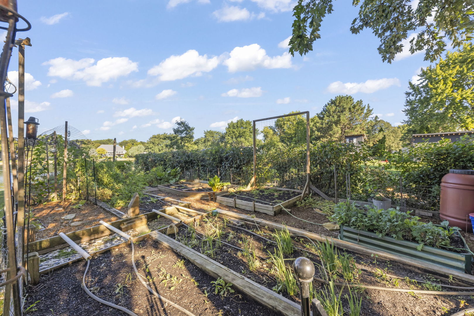 10S506 Whittington Lane, Naperville, IL 60564