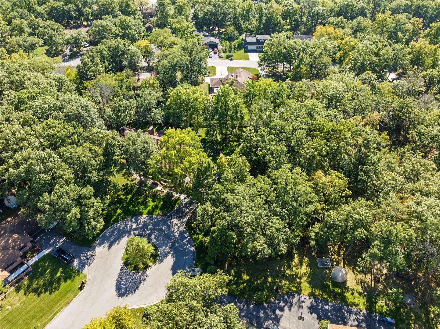 3540 Haweswood Court, Crete, IL 60417