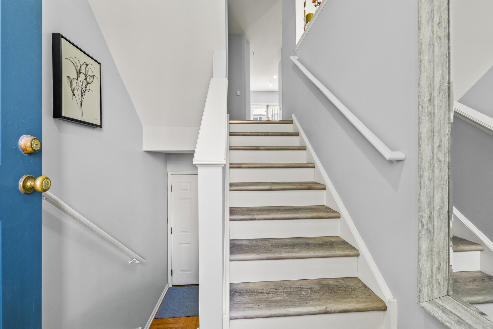 738 Hanbury Drive #738, Des Plaines, IL 60016