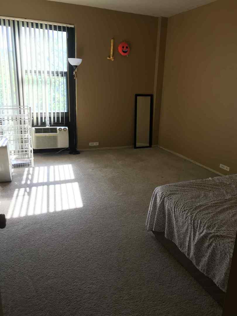 3041 S Michigan Avenue #509, Chicago, IL 60616