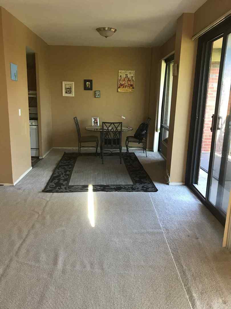 3041 S Michigan Avenue #509, Chicago, IL 60616