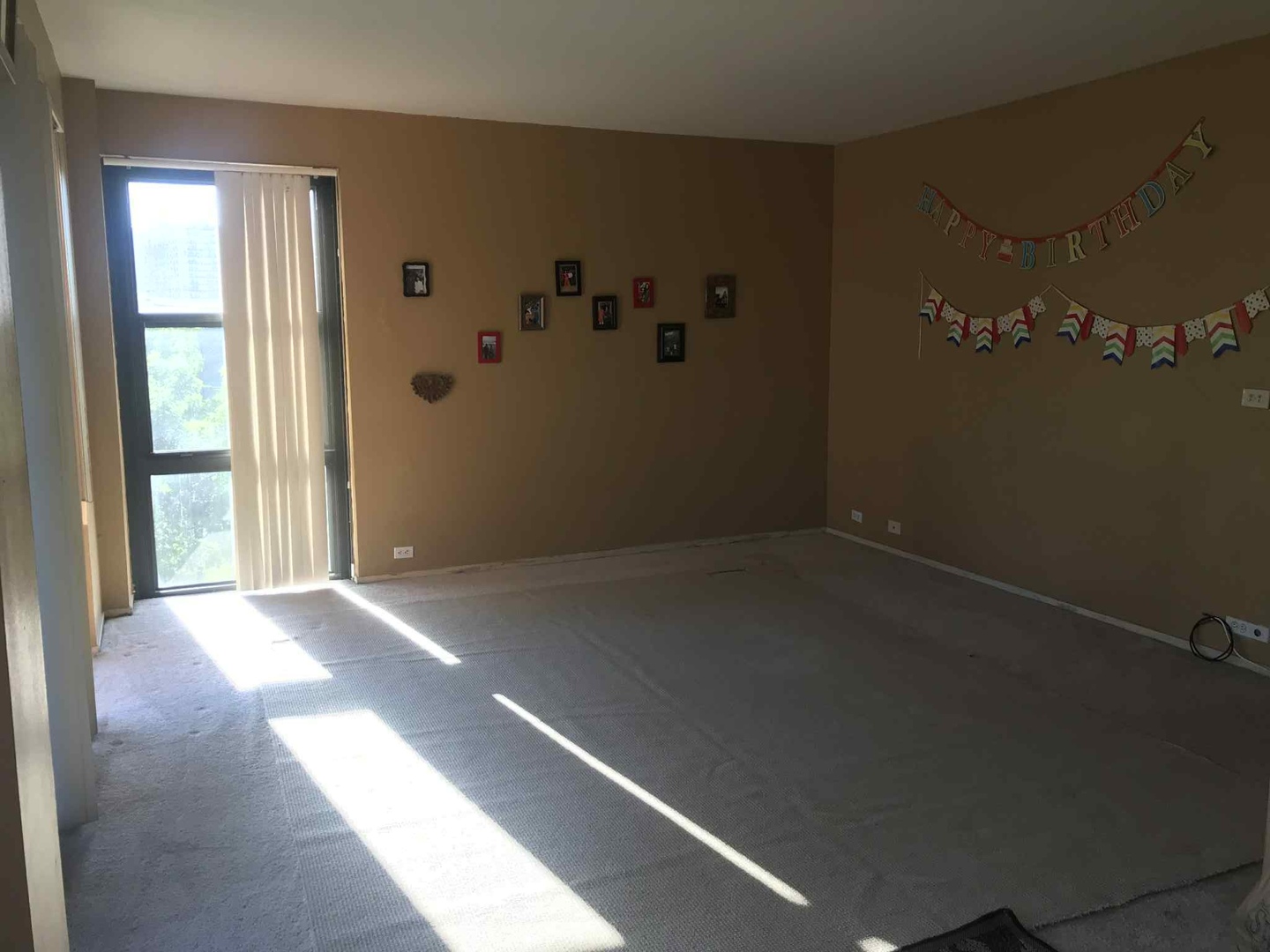 3041 S Michigan Avenue #509, Chicago, IL 60616