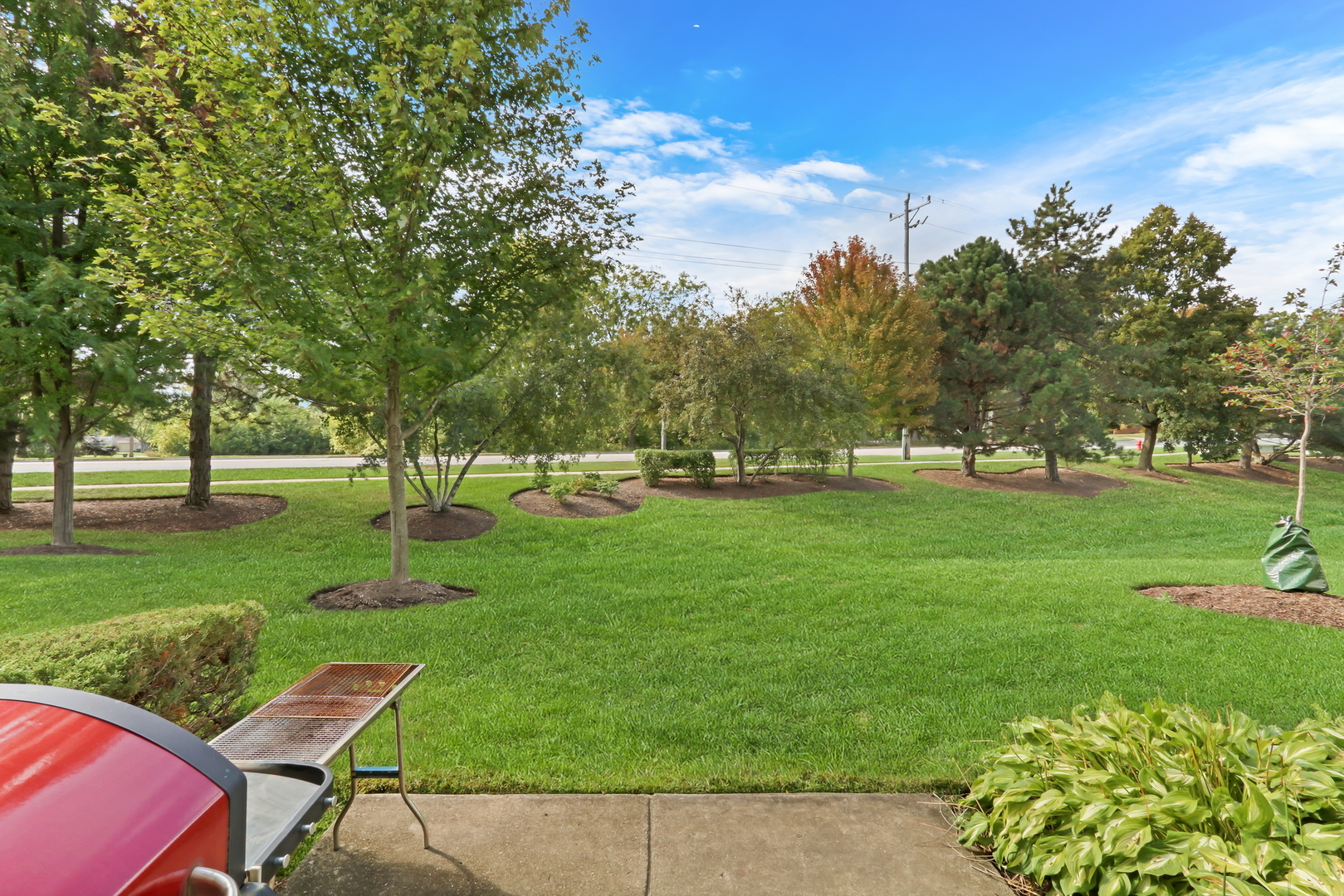 414 E Thornhill Lane, Palatine, IL 60074