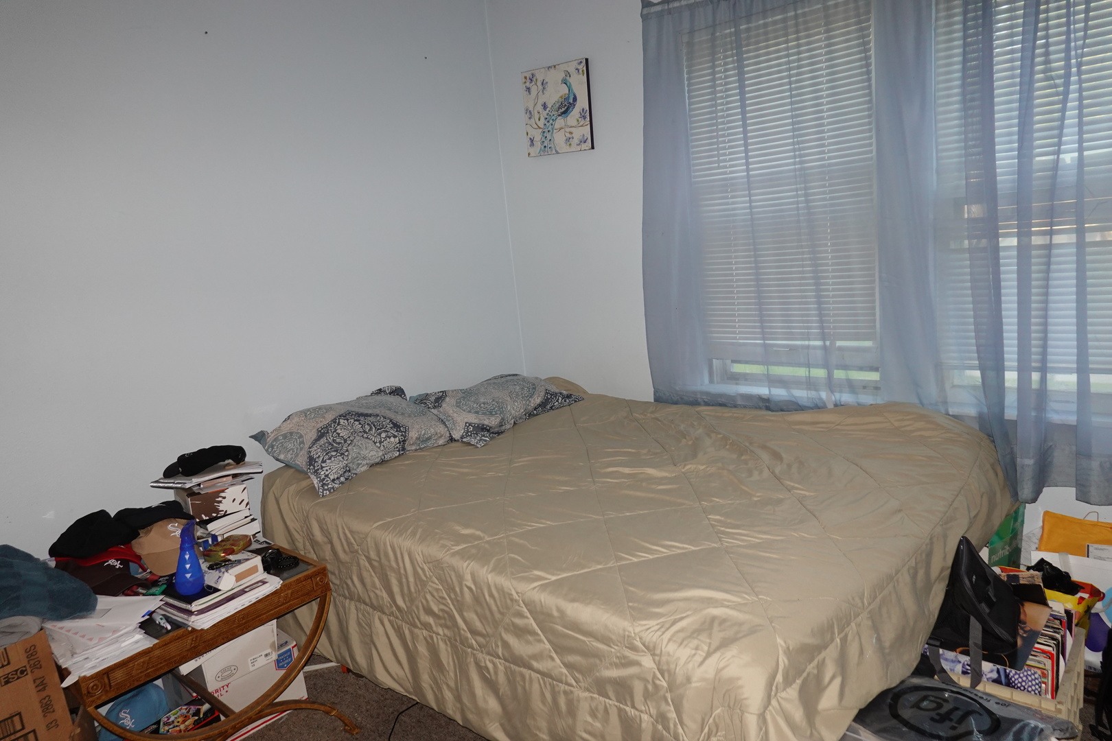 302 S Martin Avenue, Waukegan, IL 60085