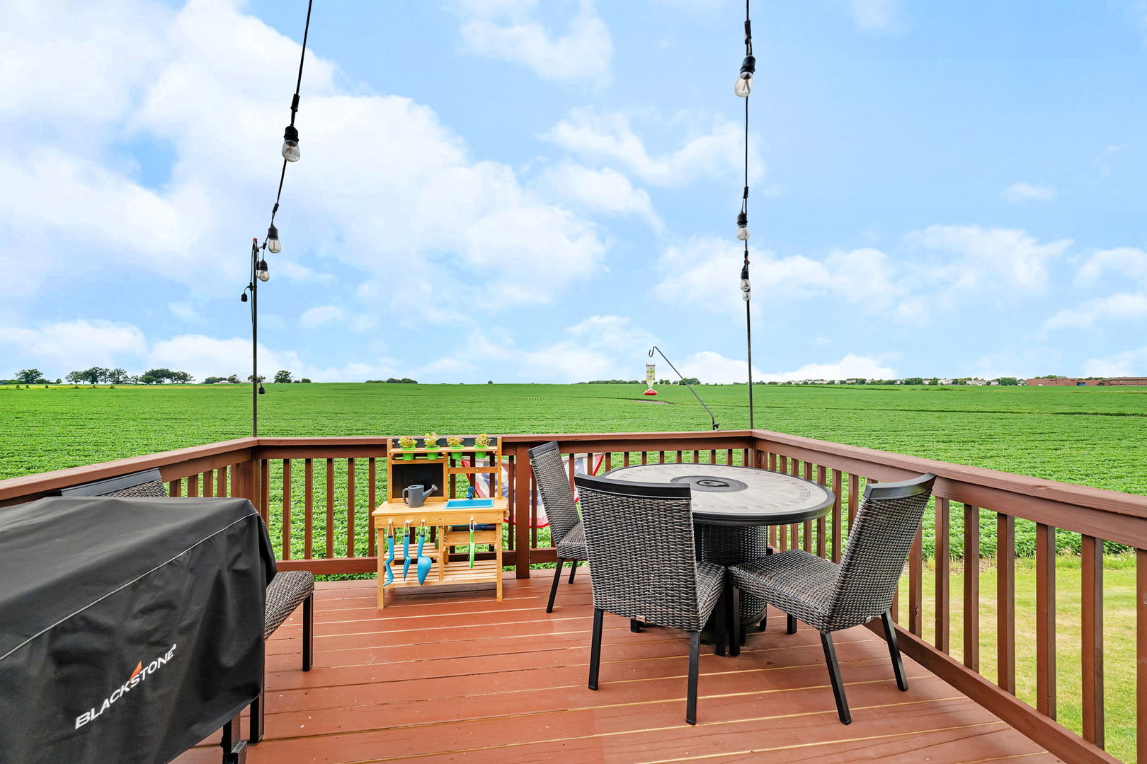 1941 Waters Edge Drive, Minooka, IL 60447