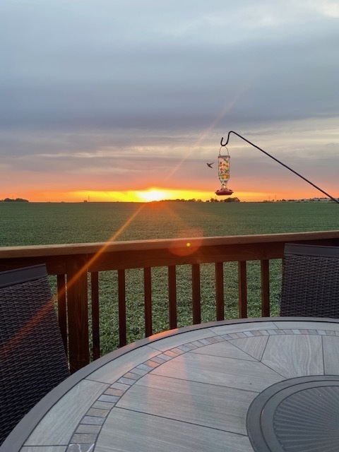 1941 Waters Edge Drive, Minooka, IL 60447