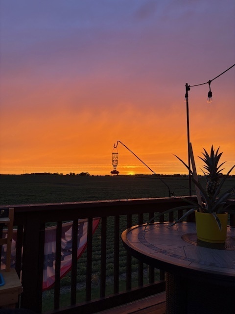 1941 Waters Edge Drive, Minooka, IL 60447