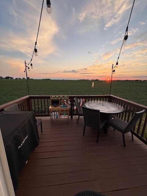 1941 Waters Edge Drive, Minooka, IL 60447