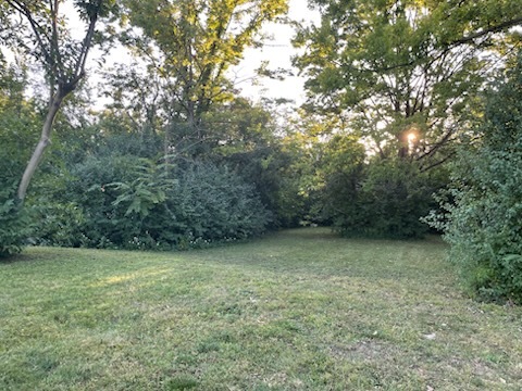 946 S Garfield Street, Hinsdale, IL 60521