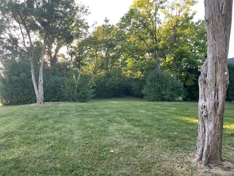 946 S Garfield Street, Hinsdale, IL 60521