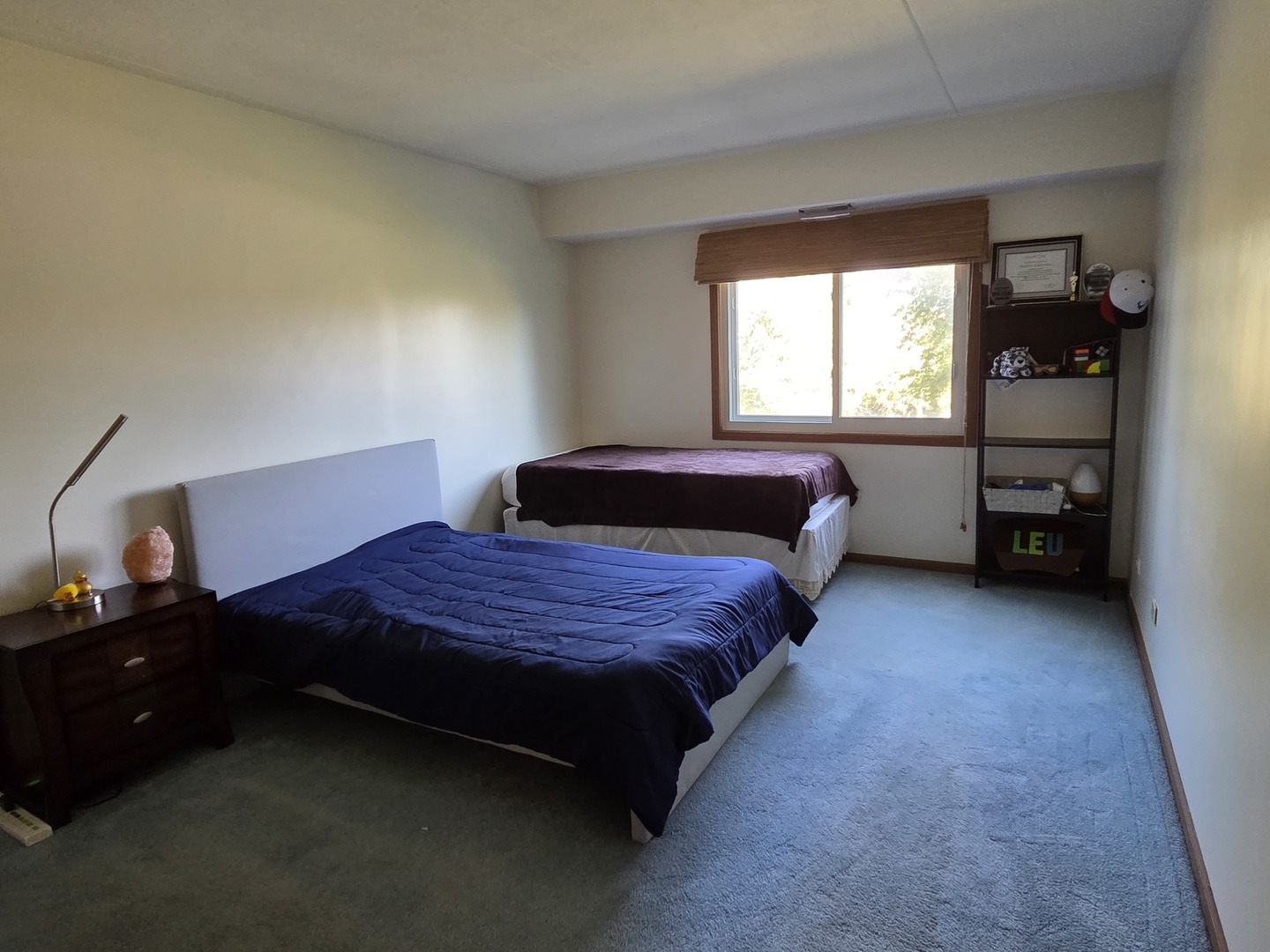 475 Plum Creek Drive #206, Wheeling, IL 60090