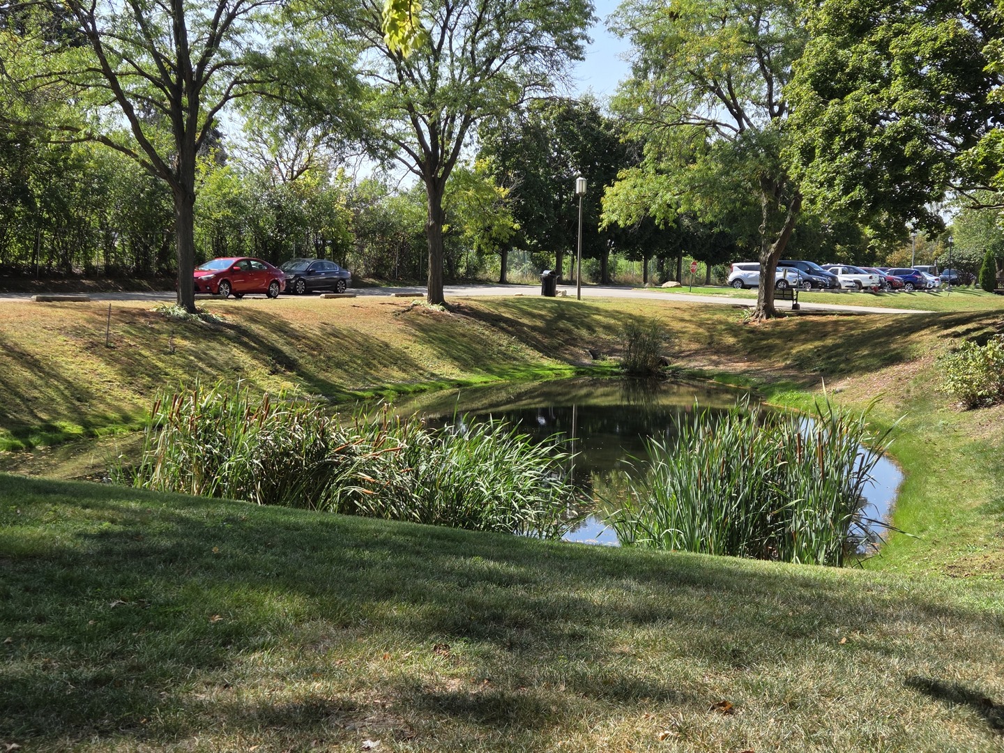 475 Plum Creek Drive #206, Wheeling, IL 60090