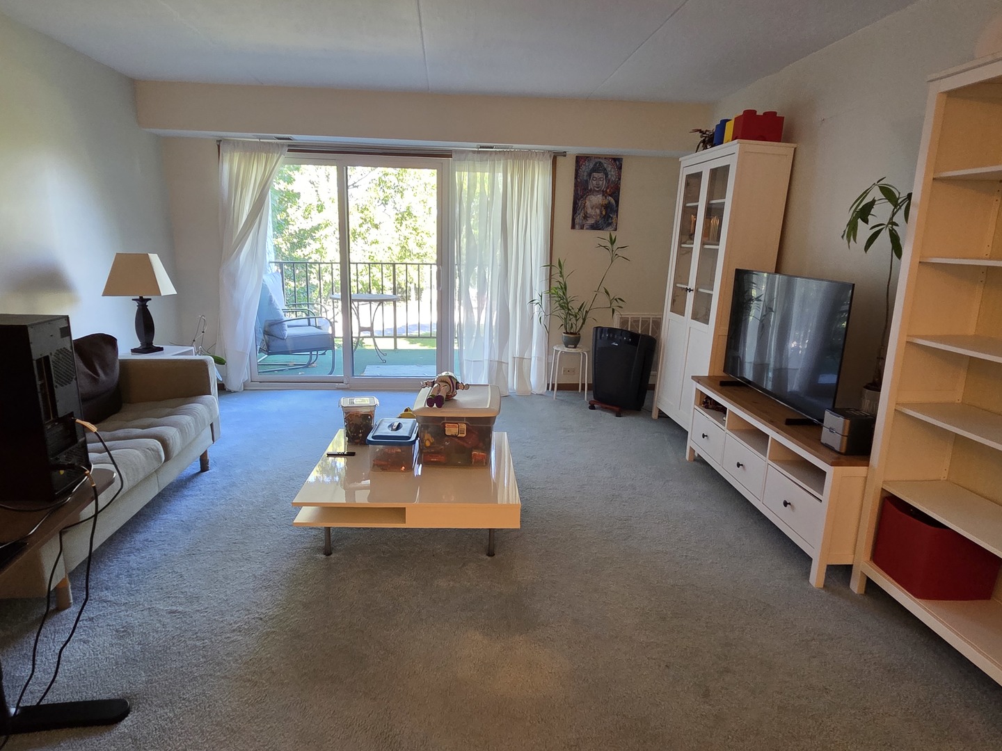 475 Plum Creek Drive #206, Wheeling, IL 60090