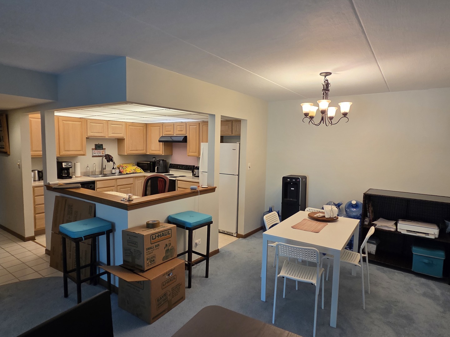 475 Plum Creek Drive #206, Wheeling, IL 60090