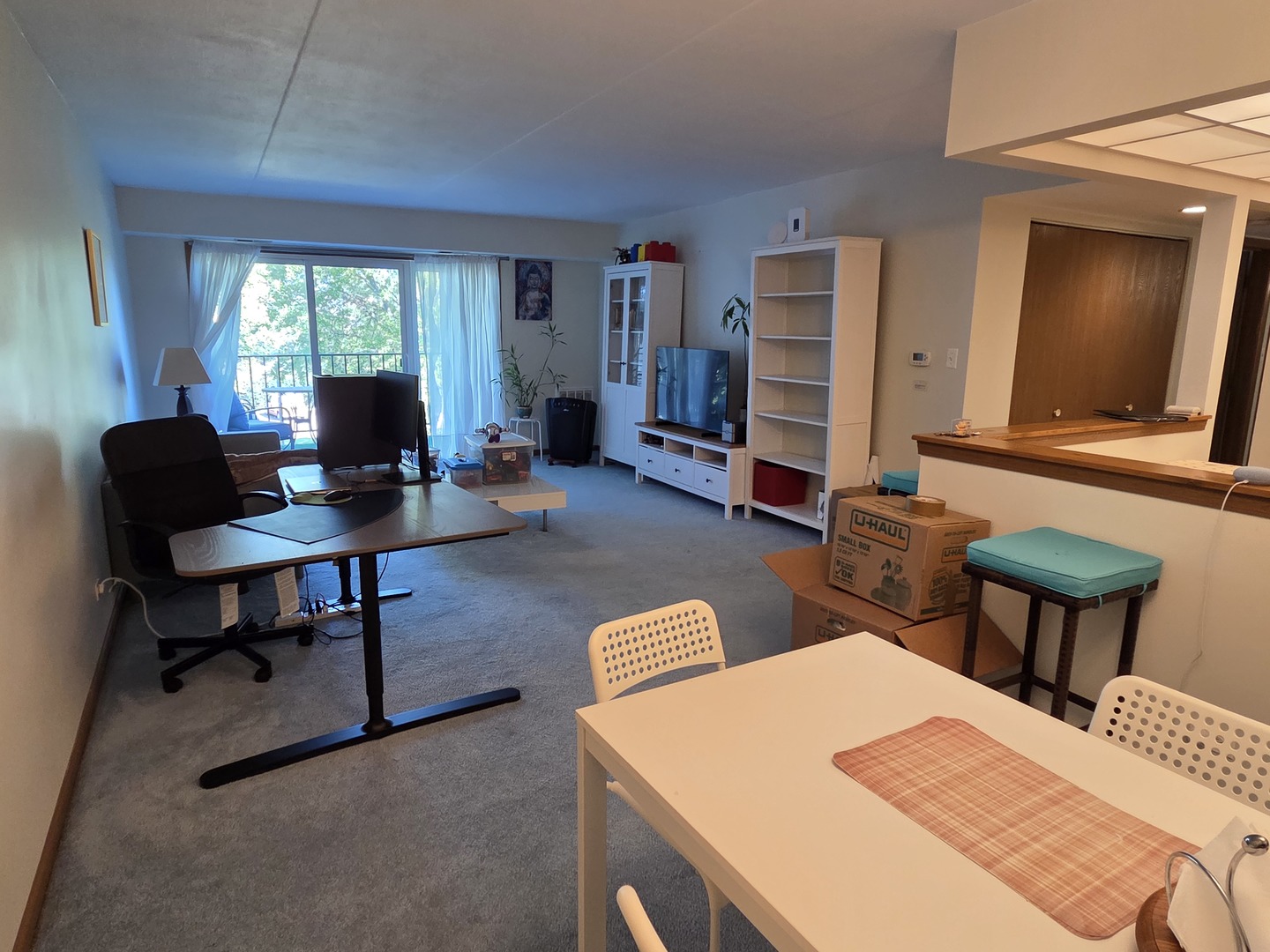 475 Plum Creek Drive #206, Wheeling, IL 60090