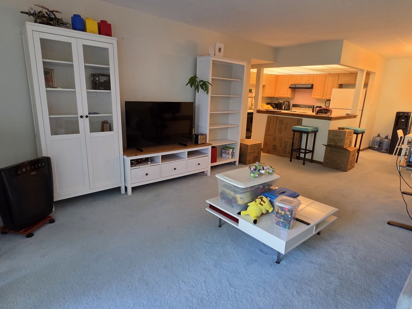 475 Plum Creek Drive #206, Wheeling, IL 60090