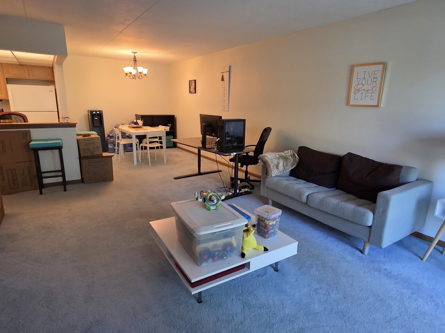 475 Plum Creek Drive #206, Wheeling, IL 60090