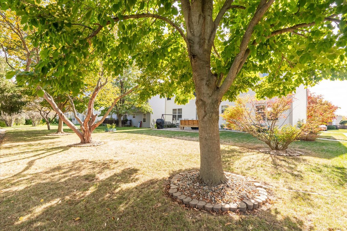 310 Buttercup Drive, Savoy, IL 61874