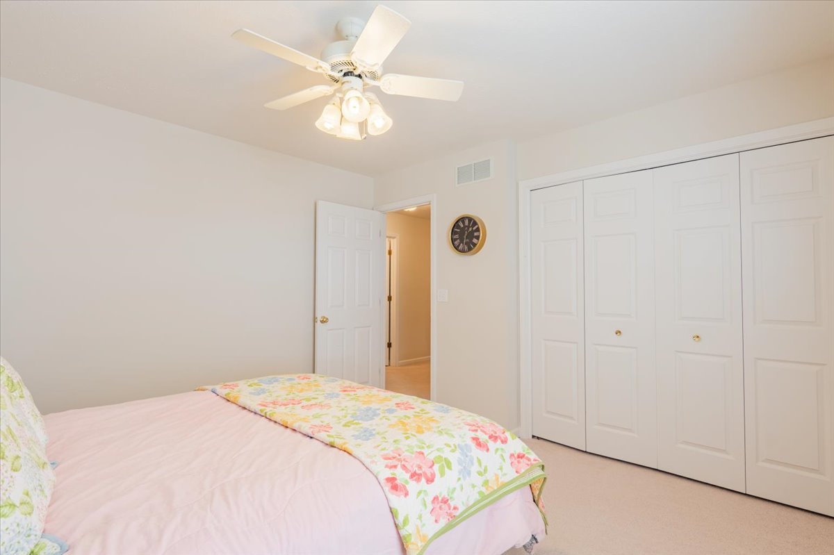 310 Buttercup Drive, Savoy, IL 61874