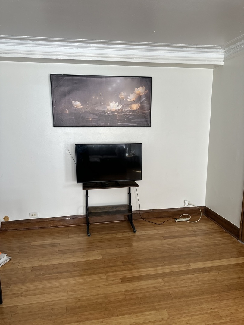 5480 S Cornell Avenue #TBD, Chicago, IL 60615