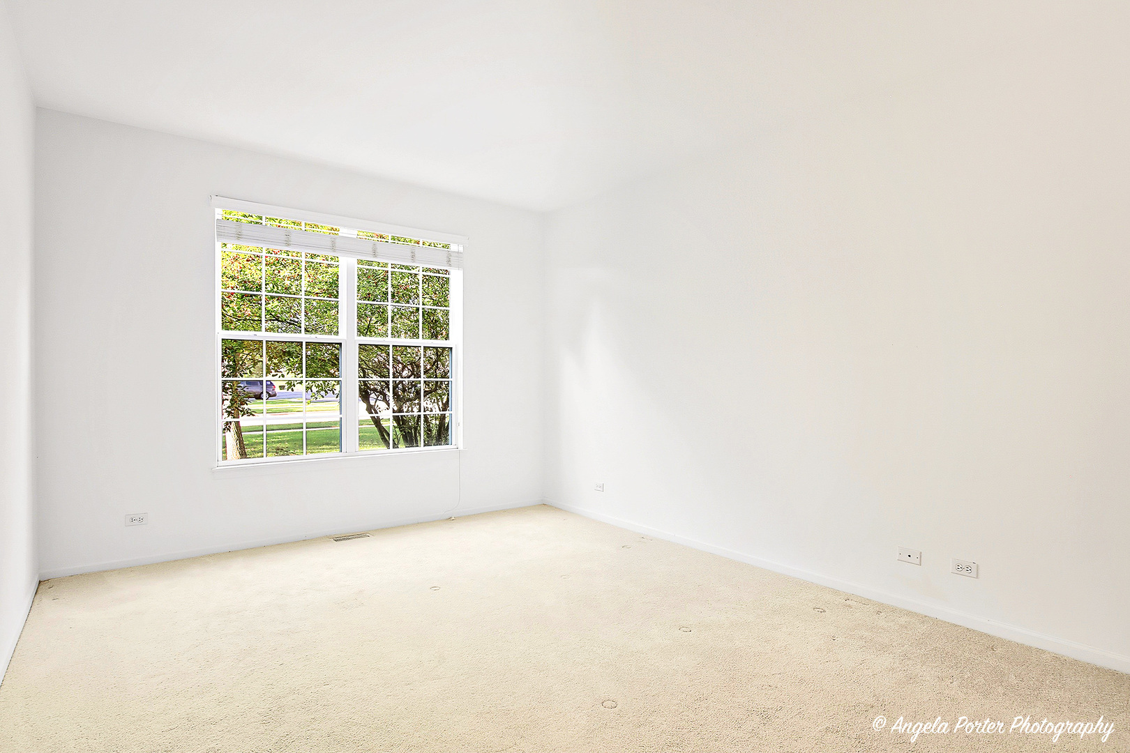 4212 Savoy Lane #4212, McHenry, IL 60050