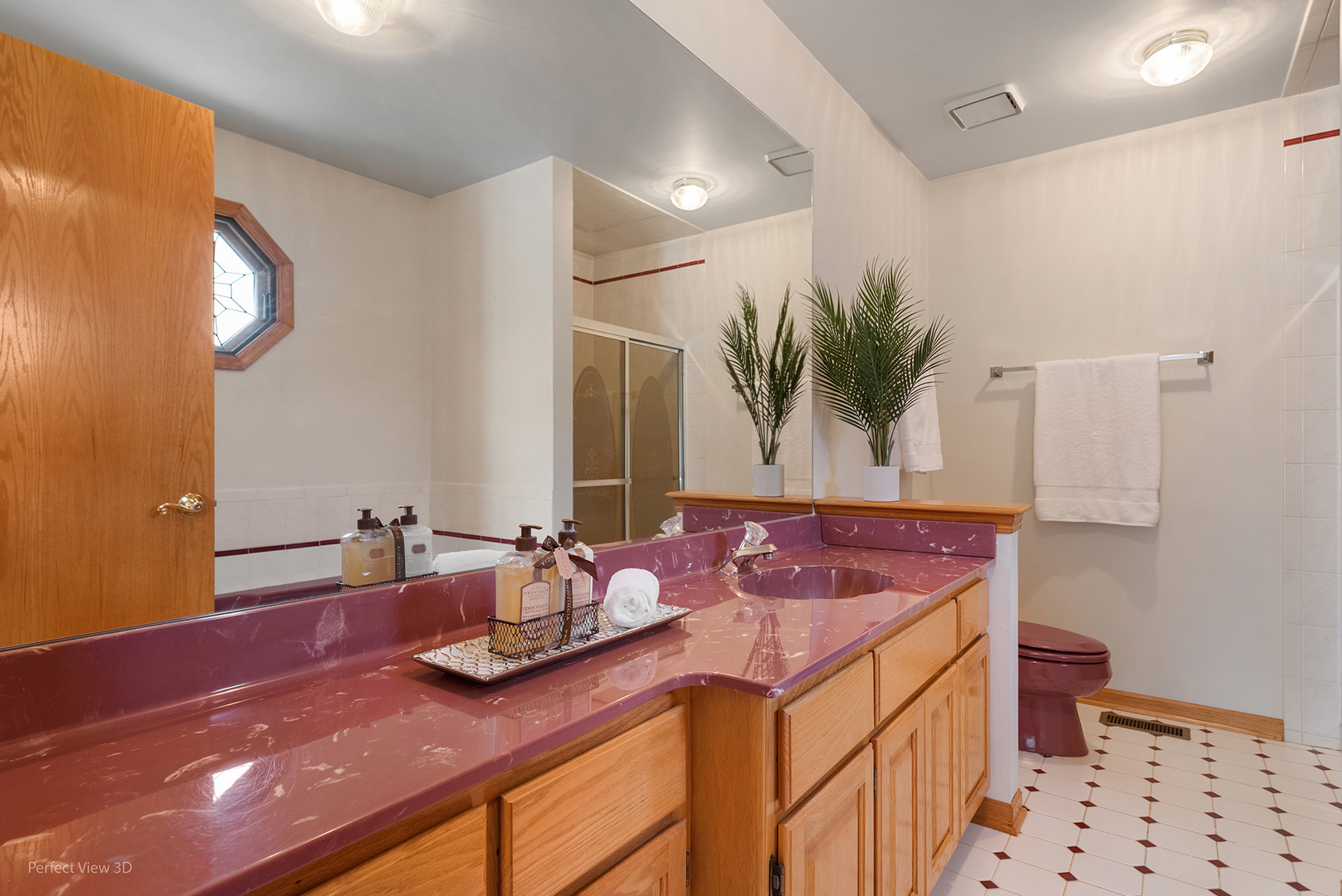 1216 Country Lane, Lemont, IL 60439