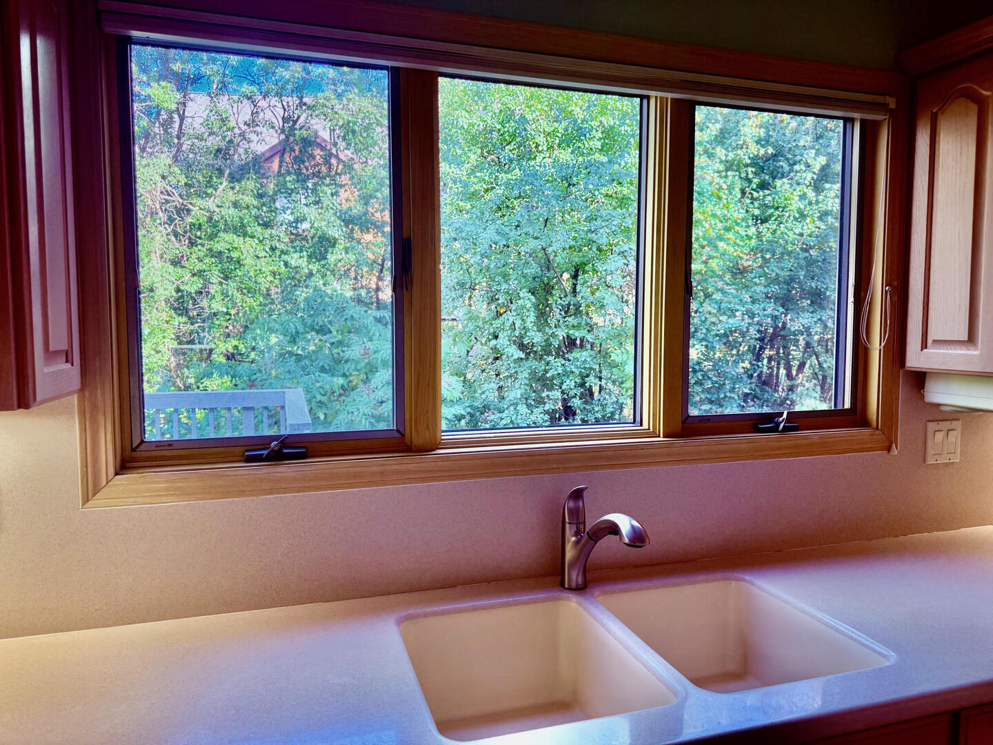 1116 Bristlecone Court #1116, Darien, IL 60561