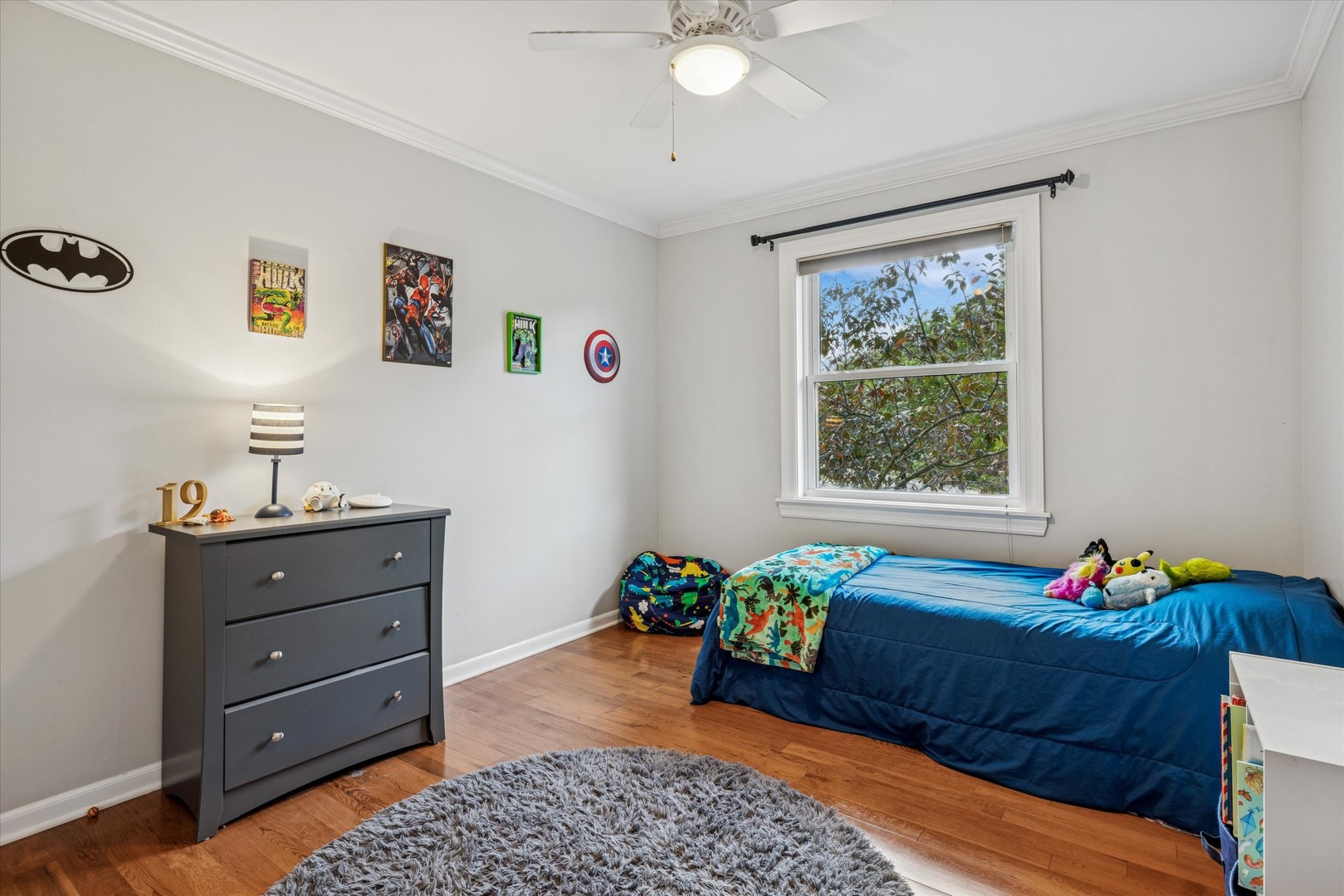 1355 N King George Court, Palatine, IL 60067