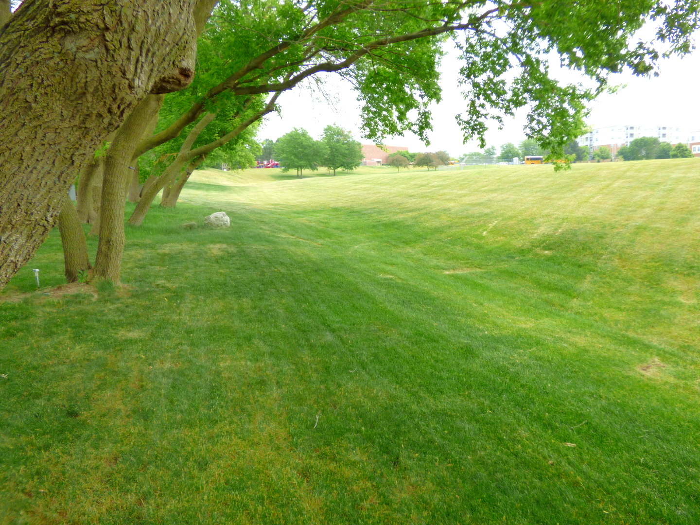 432 Thunder Ridge, Lake In The Hills, IL 60156