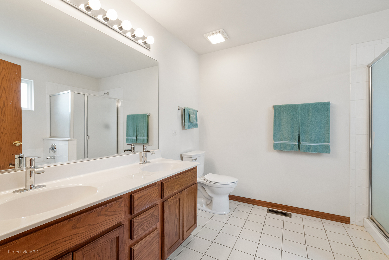 21519 W Basswood Lane, Plainfield, IL 60544