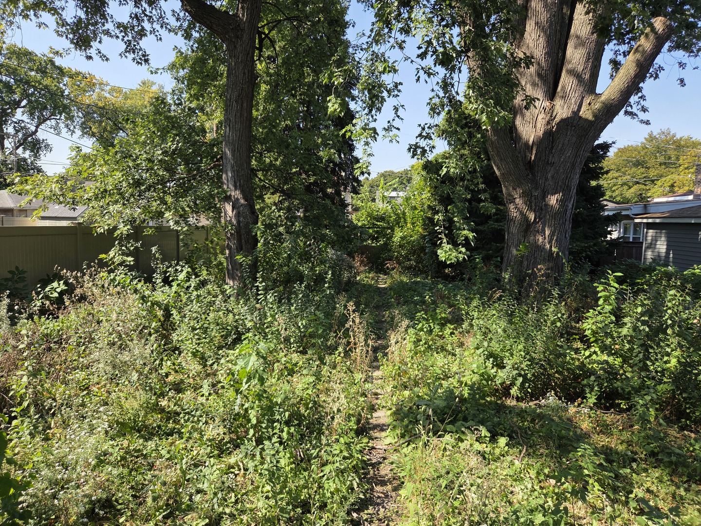 2324 N Oak Park Avenue, Chicago, IL 60707