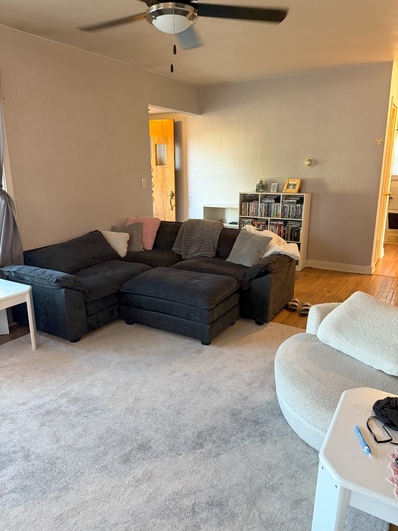 602 Main Street, Leaf River, IL 61047