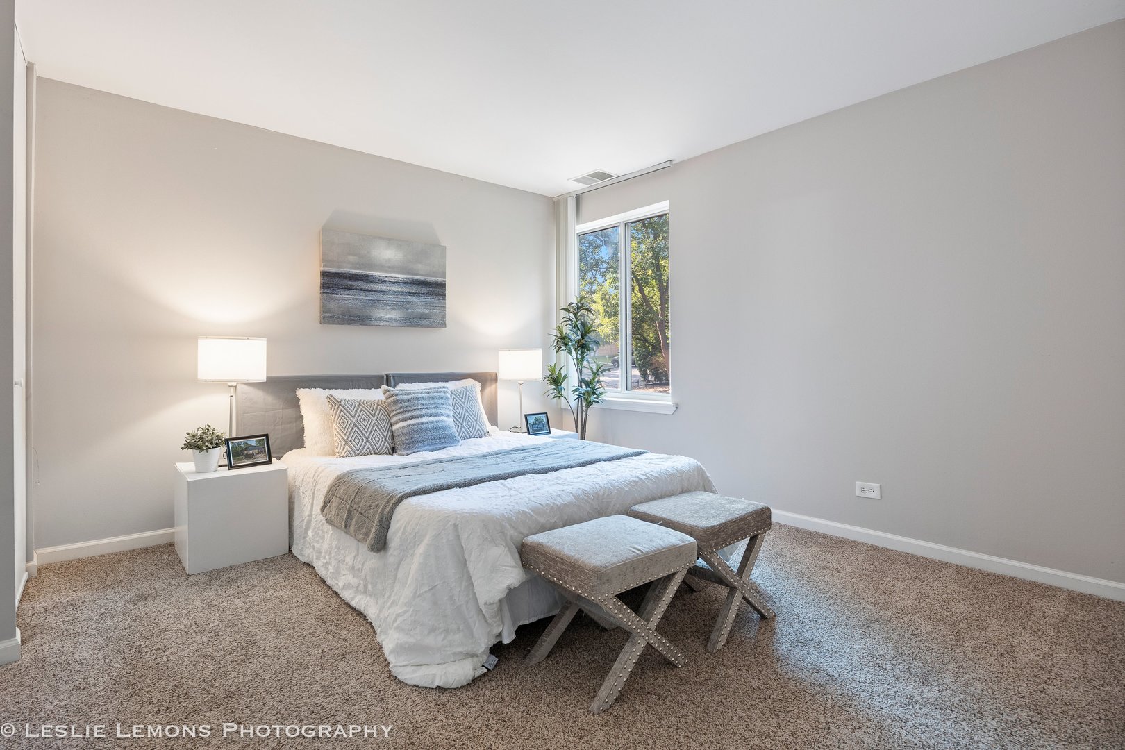 5811 Oakwood Drive #D, Lisle, IL 60532