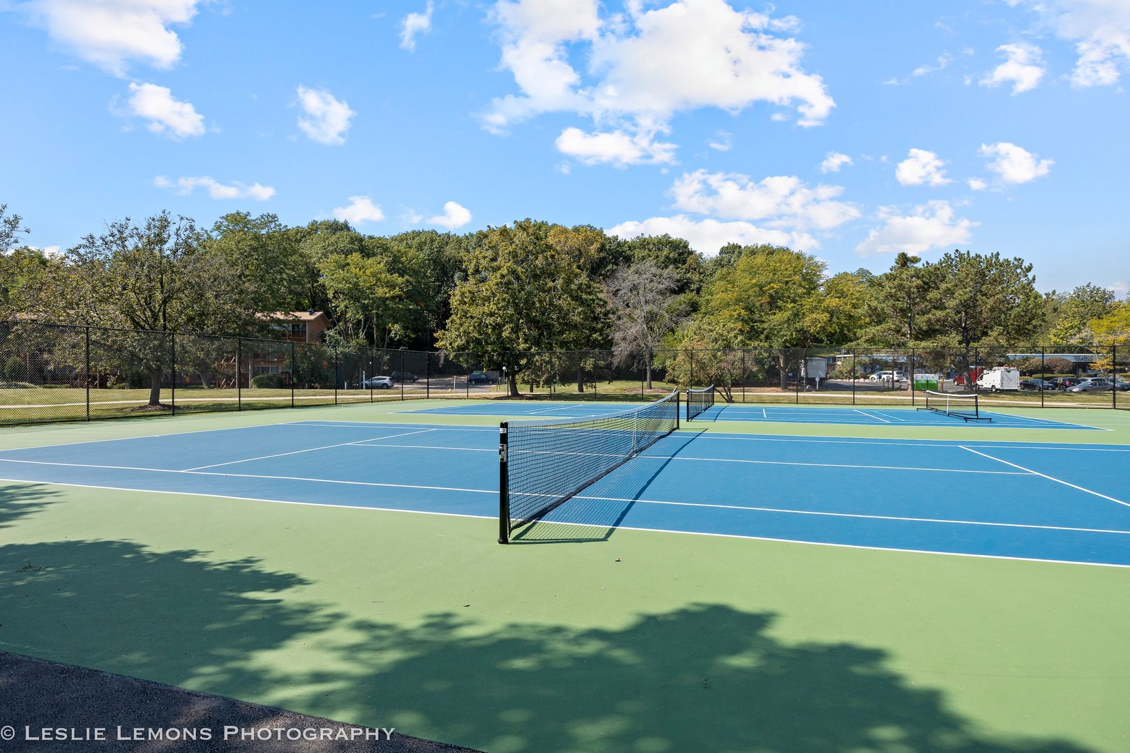 5811 Oakwood Drive #D, Lisle, IL 60532