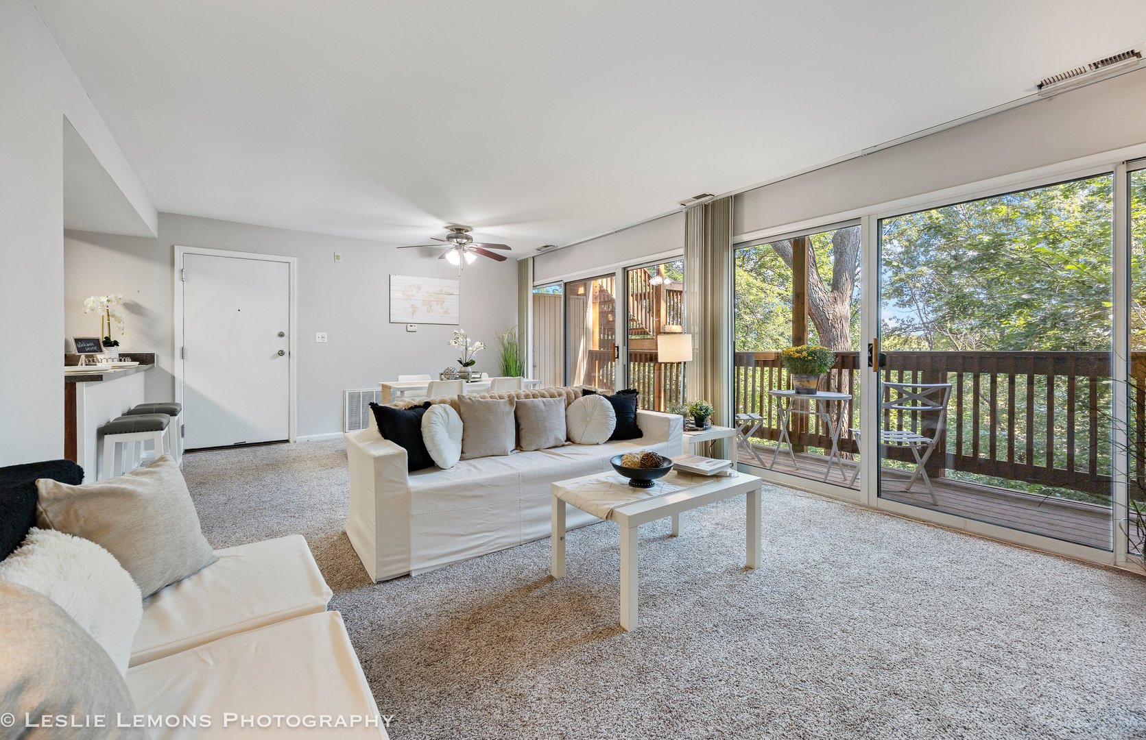 5811 Oakwood Drive #D, Lisle, IL 60532