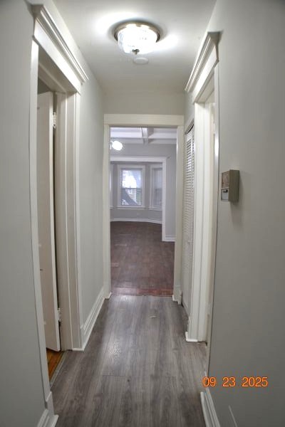 6928 S Wabash Avenue #2, Chicago, IL 60637