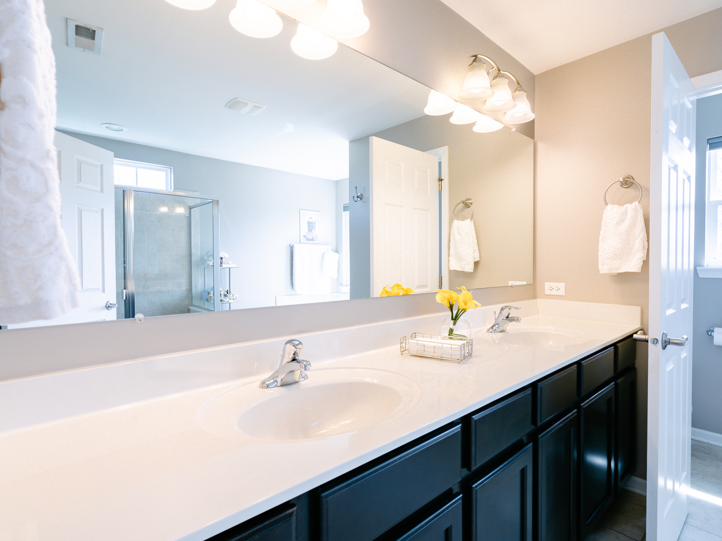 3740 Ryder Court, Naperville, IL 60564