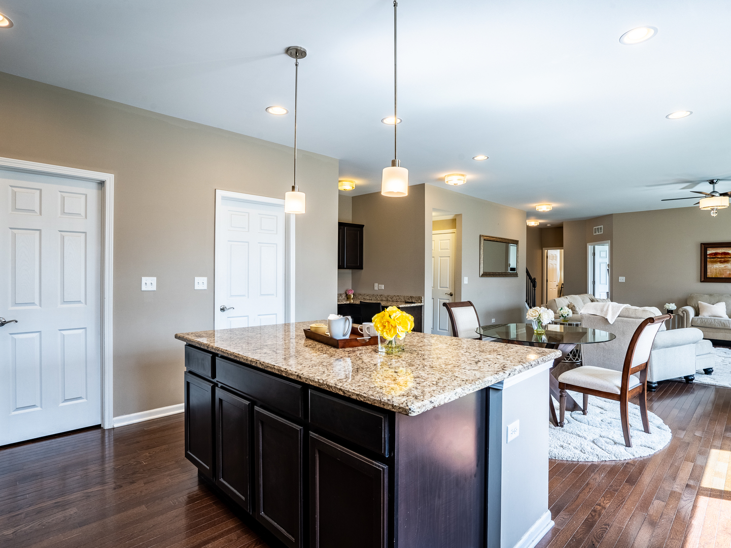 3740 Ryder Court, Naperville, IL 60564