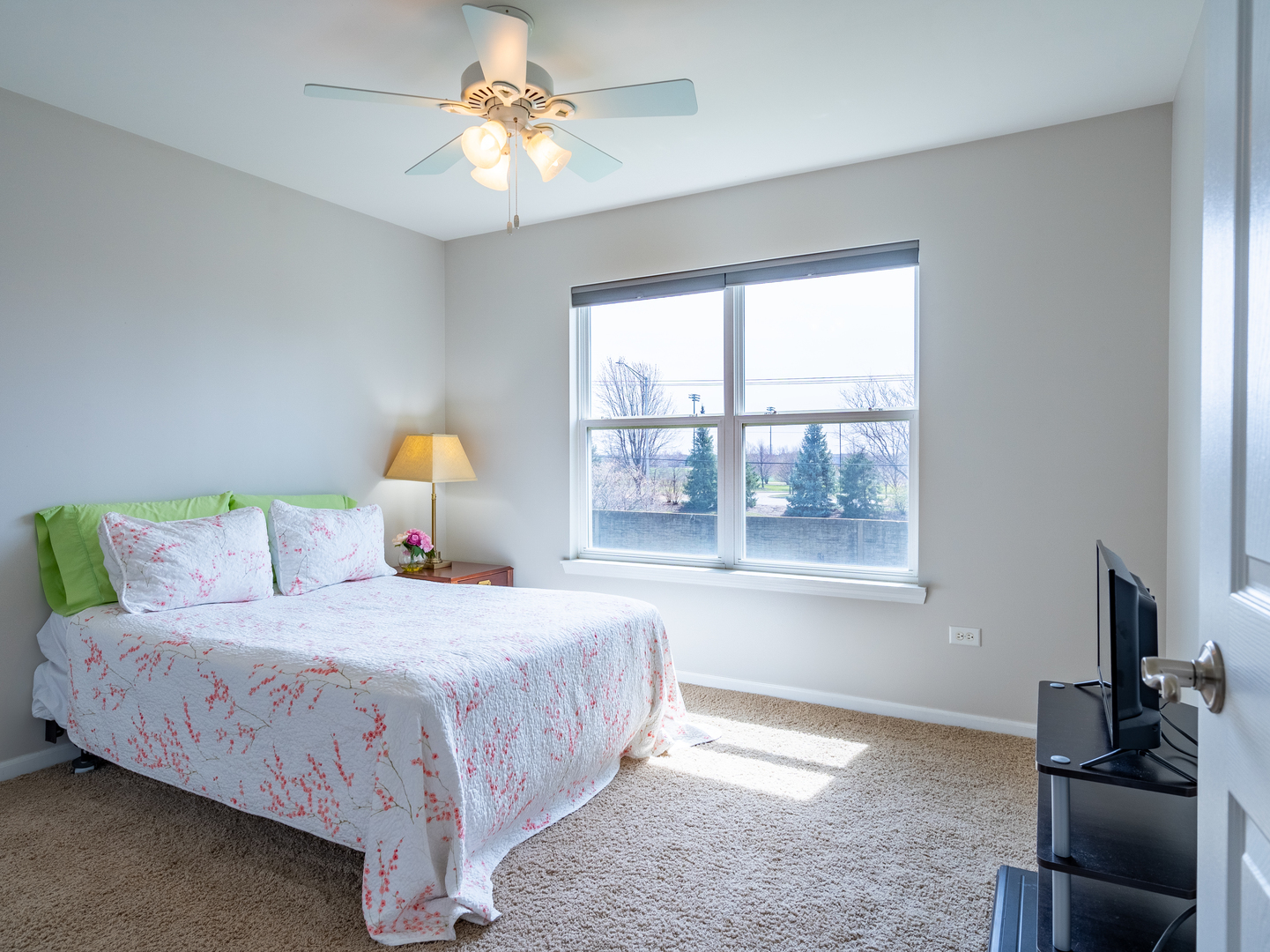 3740 Ryder Court, Naperville, IL 60564