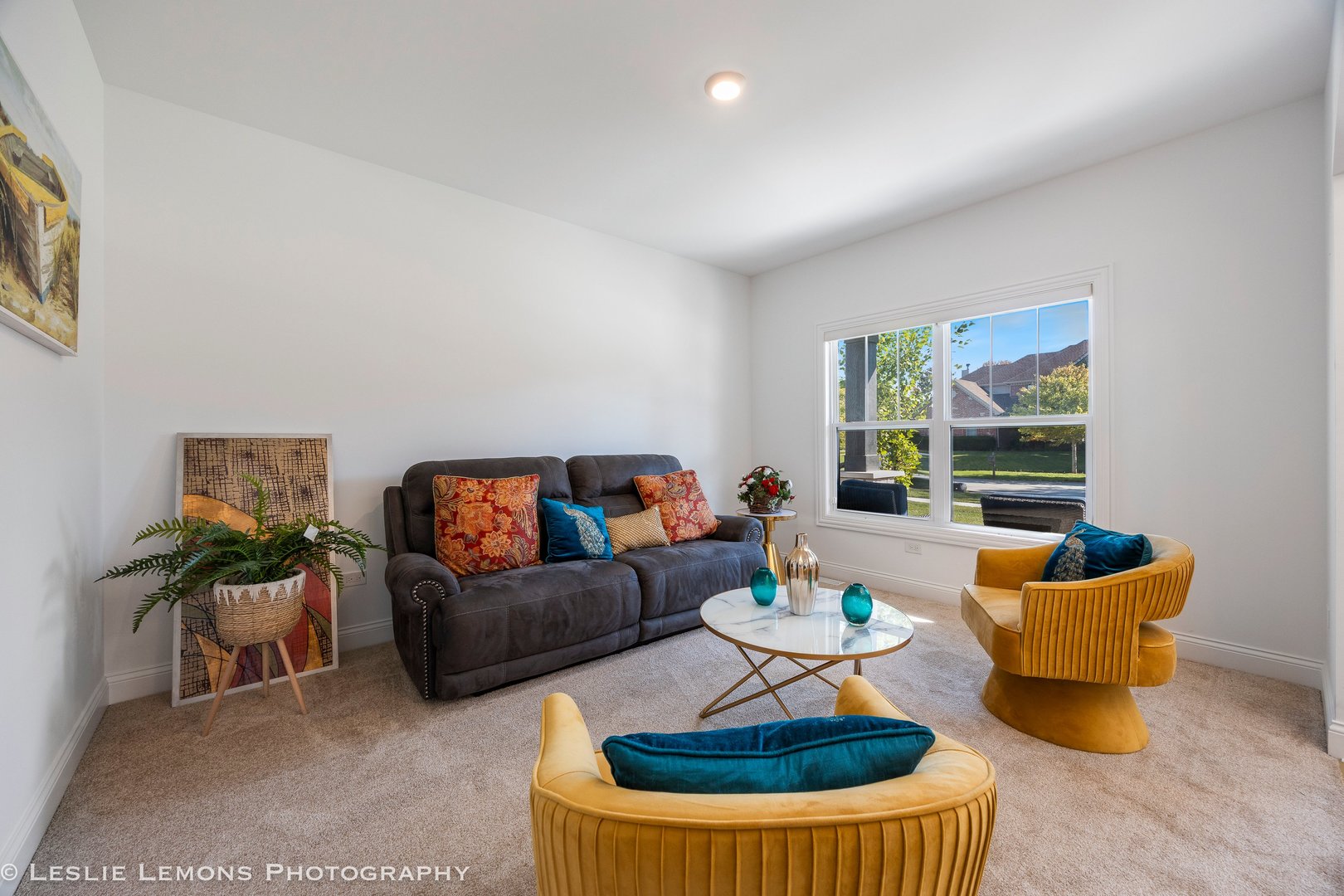 315 White Pines Lane, Oswego, IL 60543