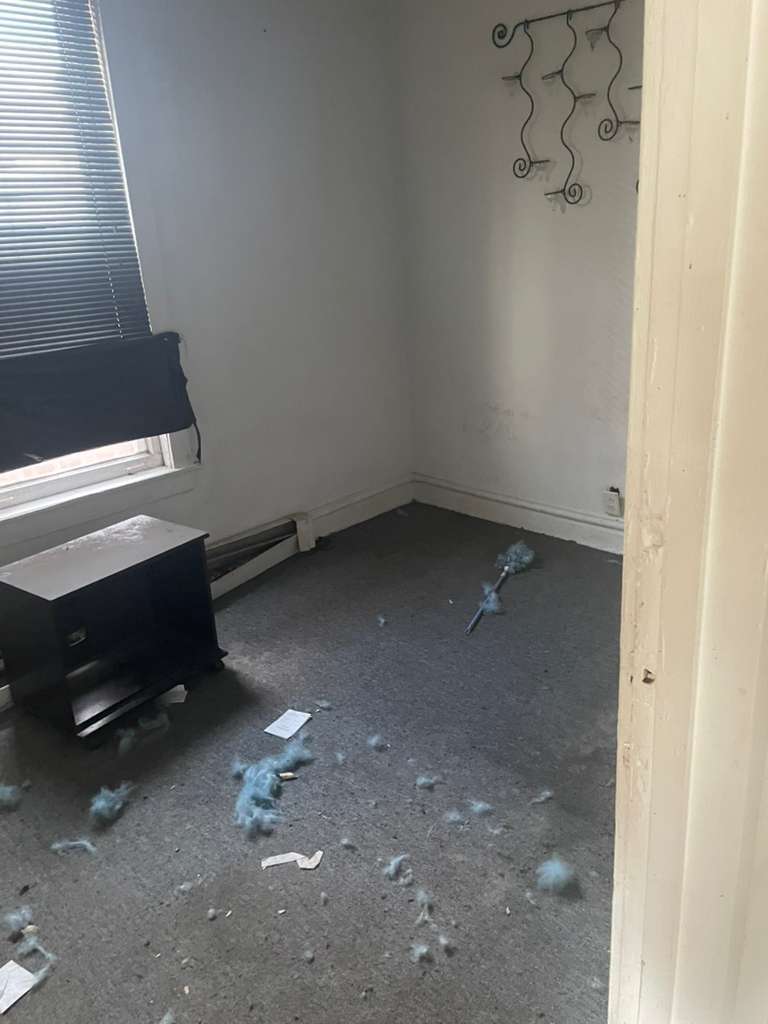 8731 S Carpenter Street, Chicago, IL 60620