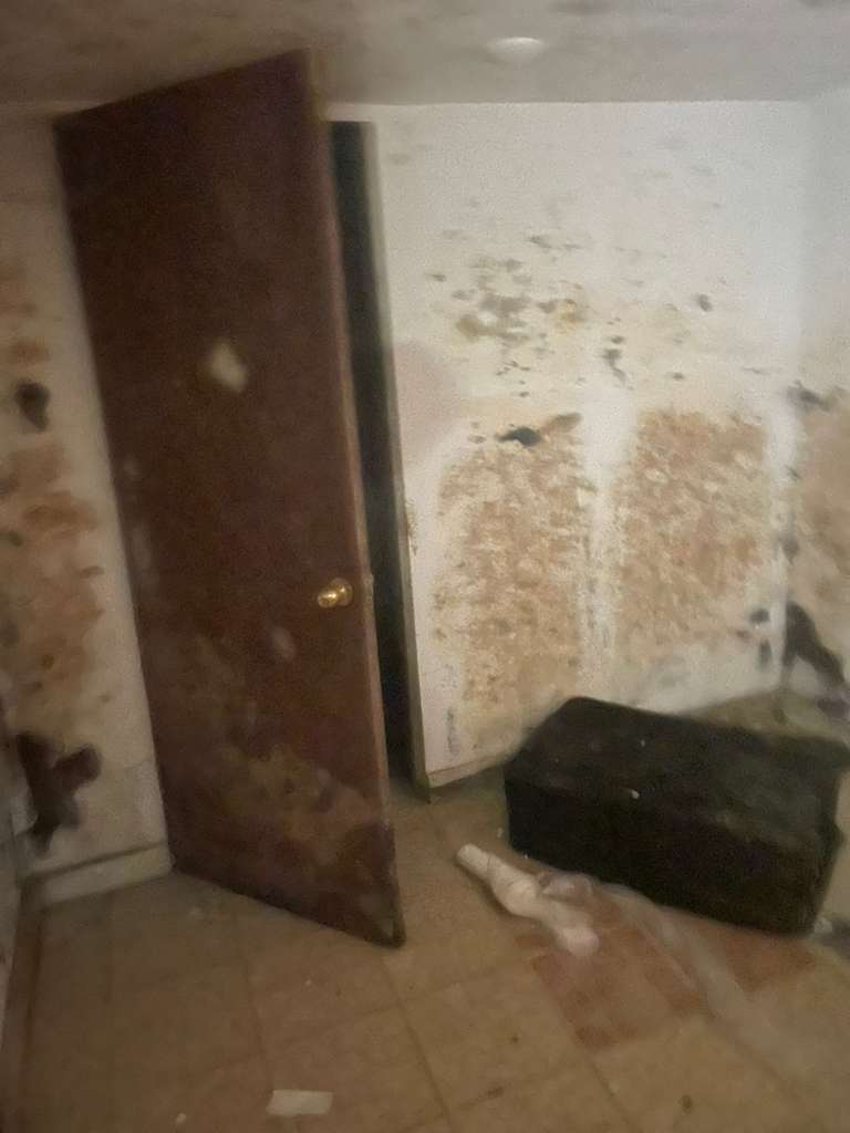 8731 S Carpenter Street, Chicago, IL 60620