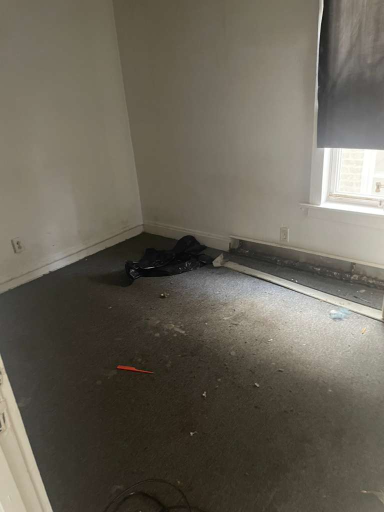 8731 S Carpenter Street, Chicago, IL 60620