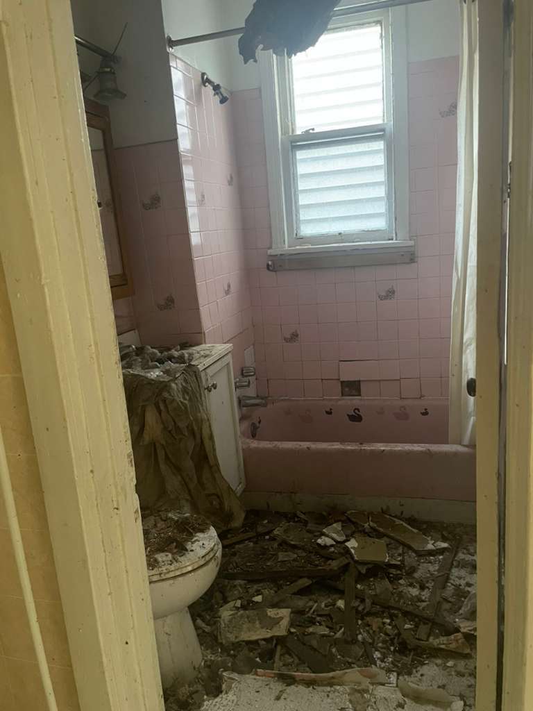 8731 S Carpenter Street, Chicago, IL 60620