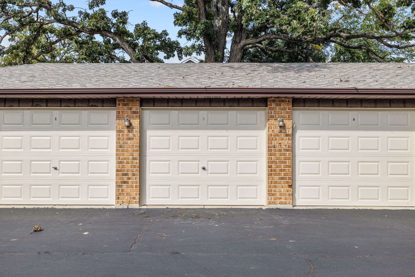 9750 Ravinia Lane #303, Orland Park, IL 60462