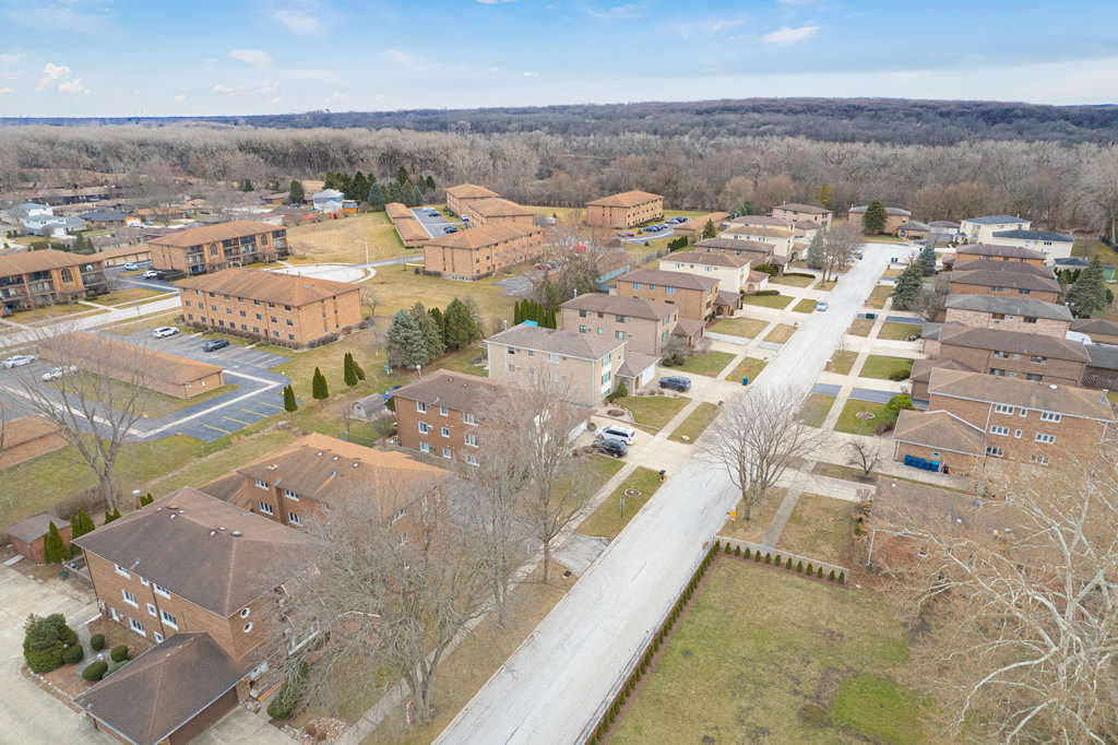 11111 Helena Drive #3, Palos Hills, IL 60465