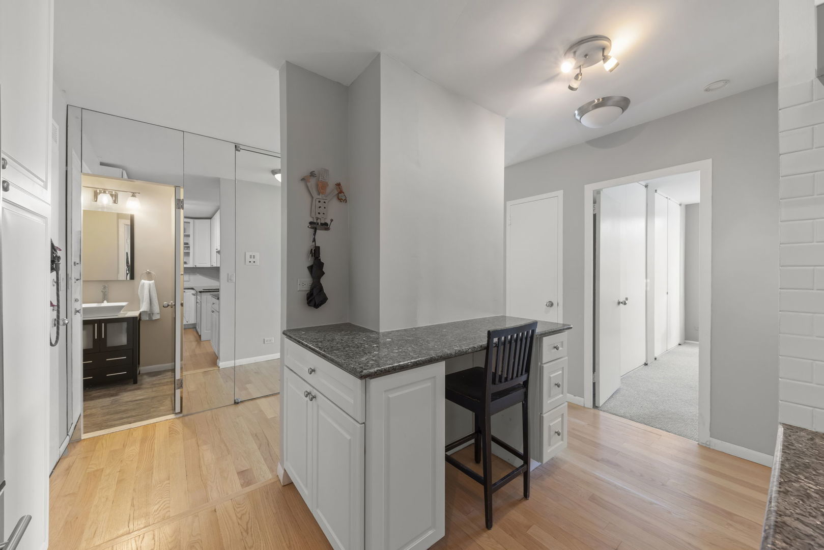 1550 N Lake Shore Drive #17B, Chicago, IL 60610